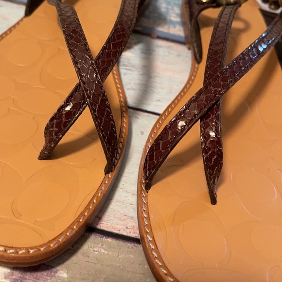 NIB, COACH Vintage Rhea Printed Python Sandals, size 11 - Picture 2 of 12